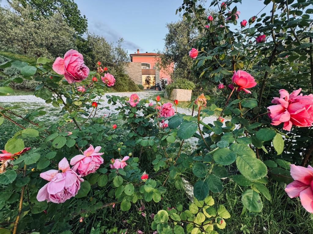 a garden with pink flowers and a house in the background at Agriturismo Belfiore in Castelnuovo Magra