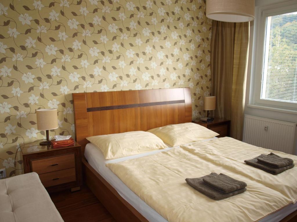 Apartmán Drahovice - Housity