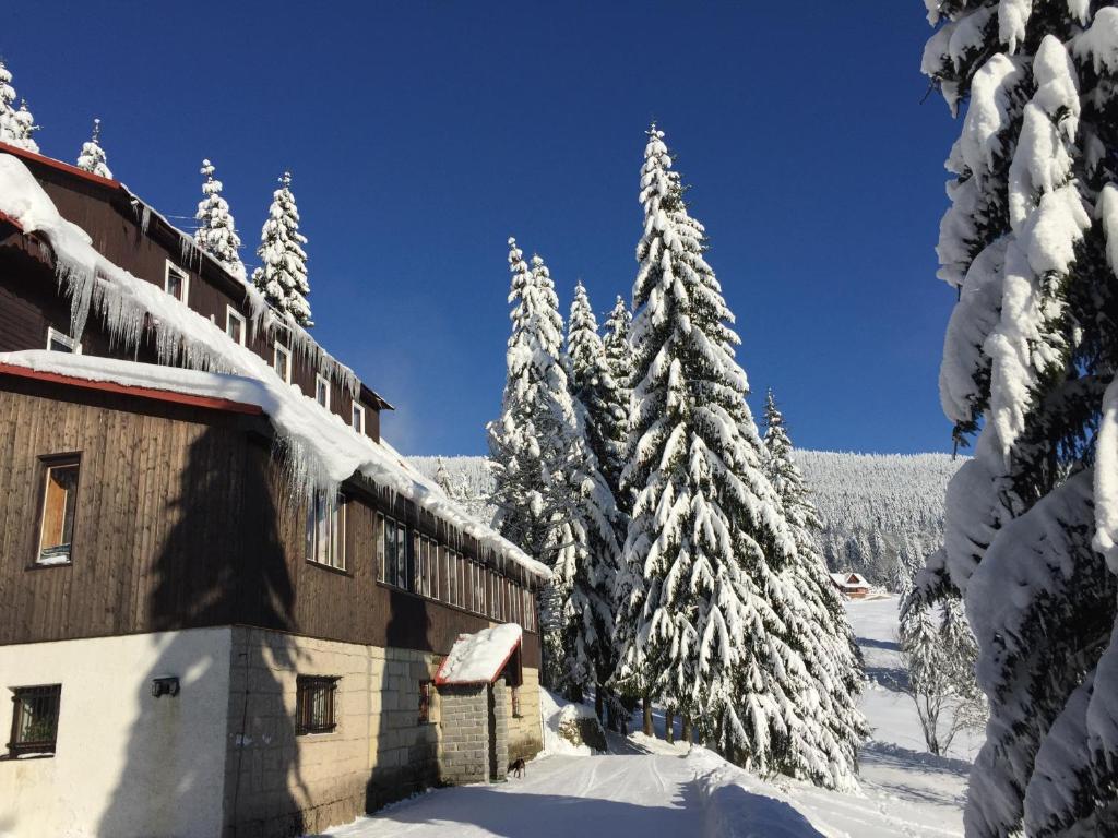 Hotel Flora Dolní Mísečky v zimě