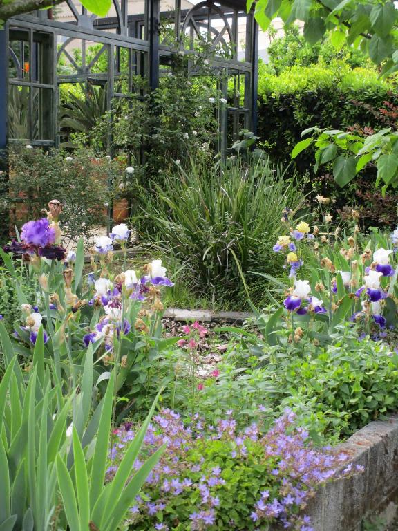 a garden with colorful flowers in a greenhouse at La Gallina Felice B&B in Meta