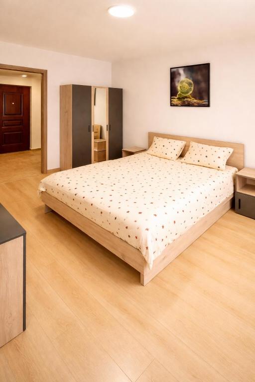 a bedroom with a large bed in a room at Nicolle Cozy Apartment in Piteşti