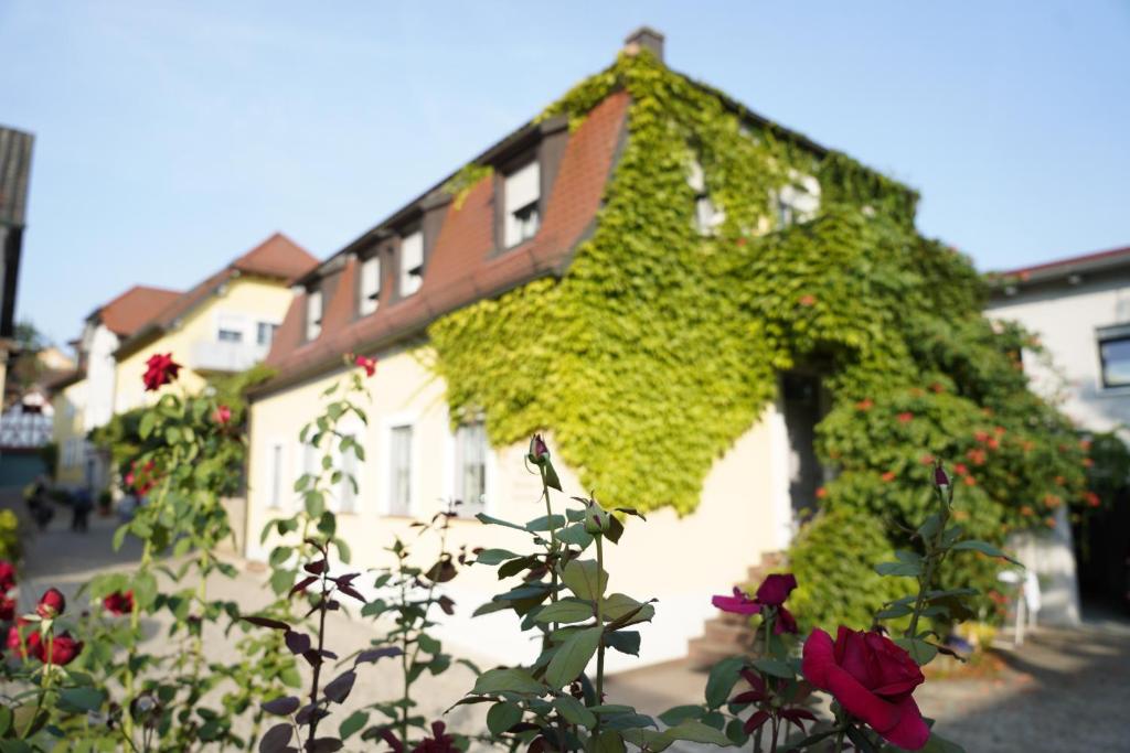 a building covered in ivy with red roses in front of it at Weingut Martin Blaß in Erlabrunn