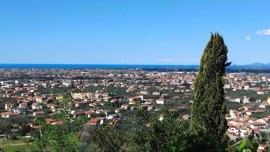 a view of a city with a tree in the foreground at Belvedere 10 in Pietrasanta
