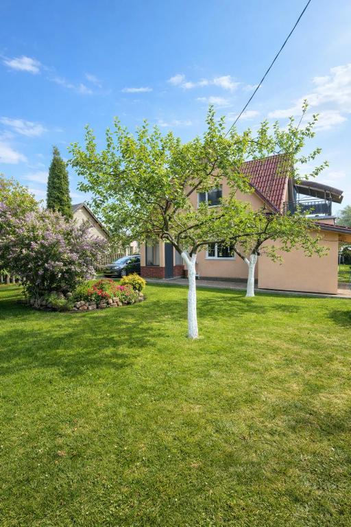 two trees in a yard in front of a house at House by the sea in Klaipėda