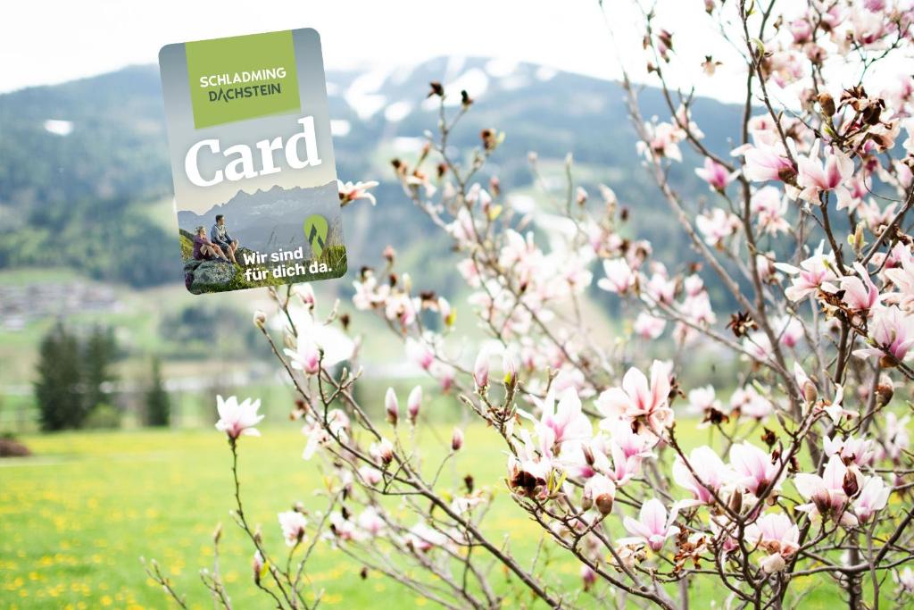 a tree with pink flowers in front of a field at Gästehaus Erika - by myNests in Schladming