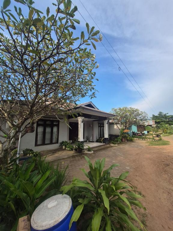 a white house with a tree in front of it at d'Alvin Homestay in Labuan Bajo