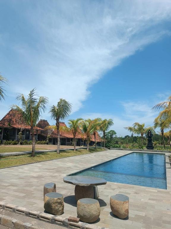 a swimming pool with a bench and some palm trees at Casa Tibubiu in Tabanan
