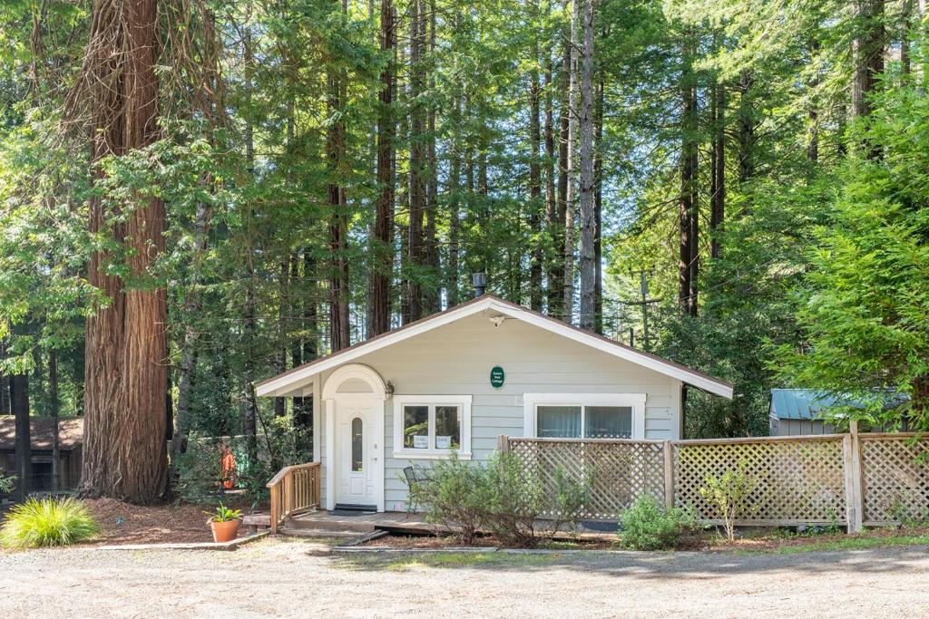 a small white shed in the middle of a forest at Green Tree Cottage in Mendocino