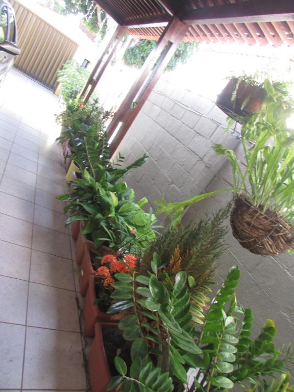  Pousada Zenite