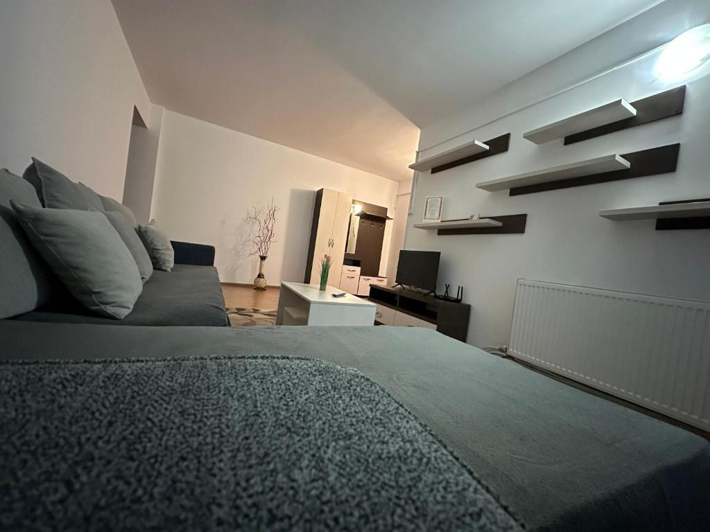 a bedroom with a bed and a couch at Alexys Residence 8 in Iaşi