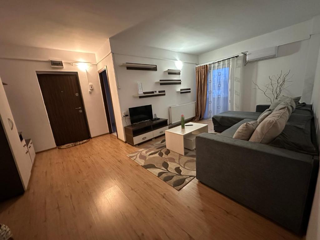 a living room with a couch and a television at Alexys Residence 4 in Iaşi