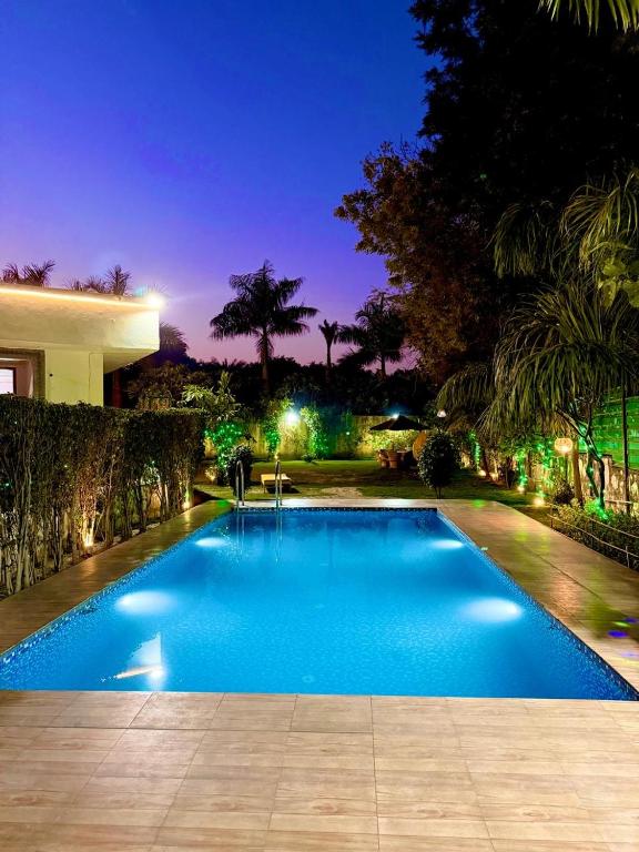 a swimming pool in a backyard at night at Mango People Farm in Gurgaon