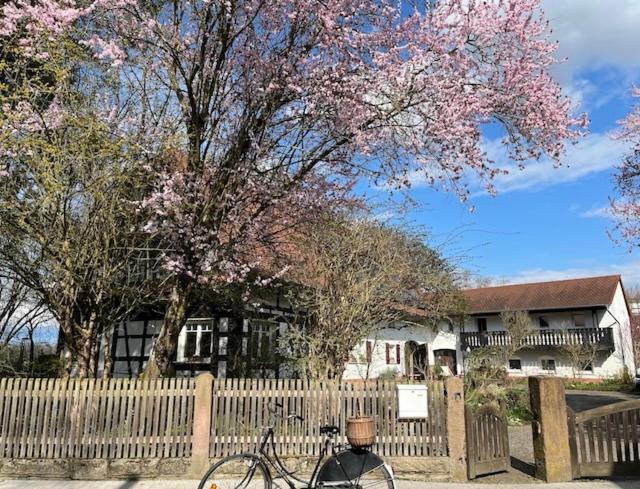 a bike parked next to a fence in front of a house at Gästezimmer Flora Hanauerland - Kunst & Natur nahe Straßburg in Kehl am Rhein