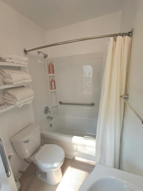 ein Badezimmer mit Toilette, Badewanne und Waschbecken in der Unterkunft Snowdrop in Ames