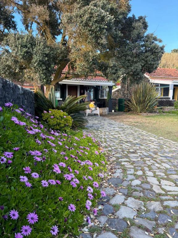 a garden with purple flowers in front of a house at Casa Doce Mar in Feteira