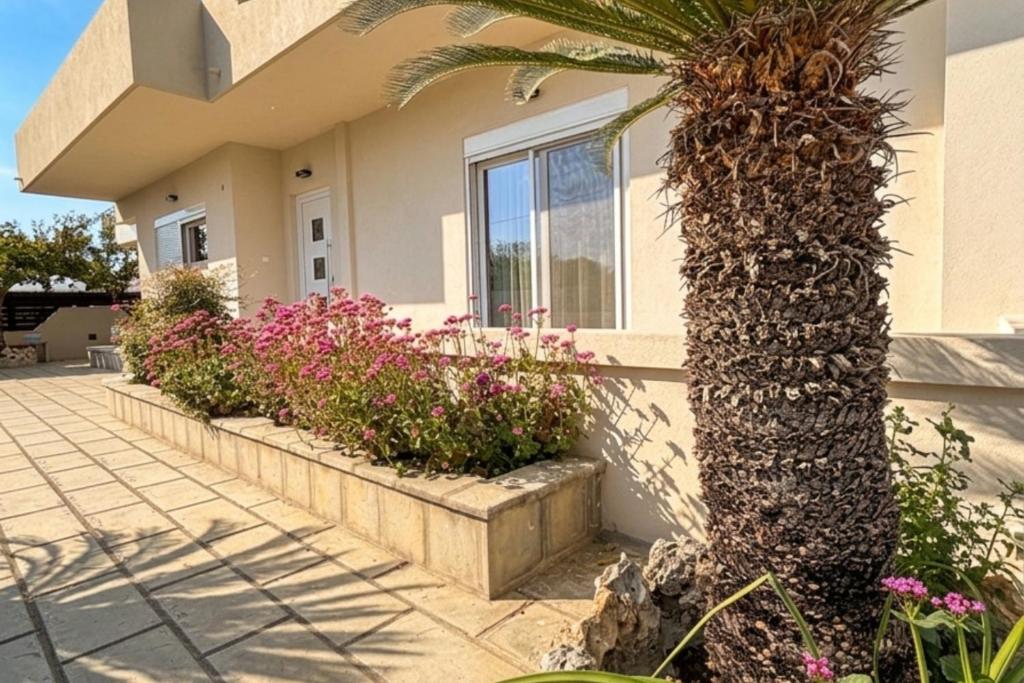 a palm tree in front of a house with flowers at Villa Lonaki in Haraki