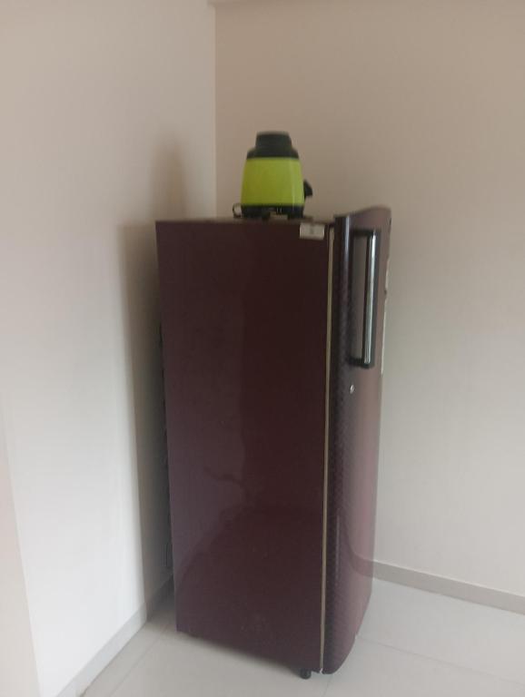a refrigerator with a green object on top of it at Akshara Ac 1 bhk in Hinjewadi