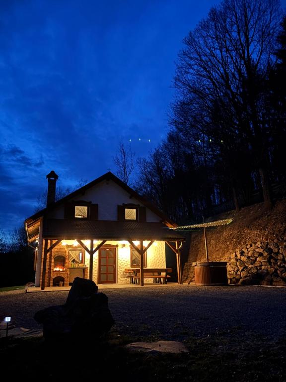 a house with lights on the front of it at night at JakLak in Izvoare