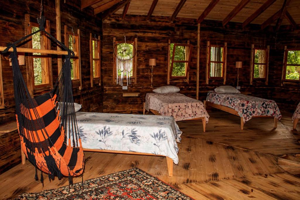 Selva Madre misionera- Refugio de la Geometria Sagrada