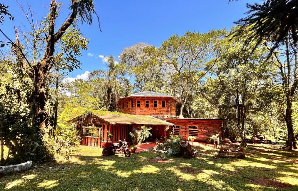 Selva Madre misionera- Refugio de la Geometria Sagrada