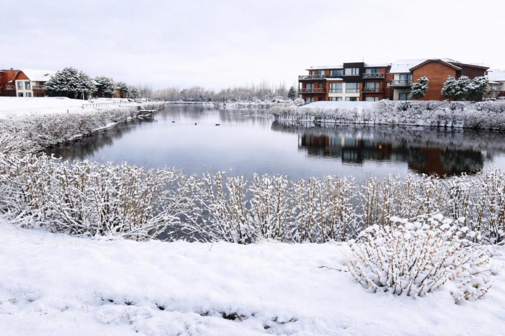 Blue Aparts Dina Huapi Bariloche