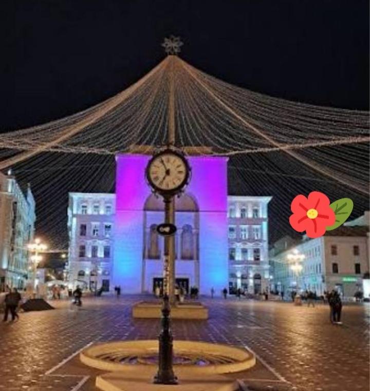 Imagine din galeria proprietății CityCore - Best choice&price în Timișoara