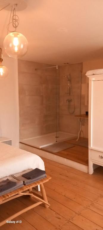 a bathroom with a shower and a bed in a room at Lieu-dit Plaisance in Puygouzon-et-Montsalvy