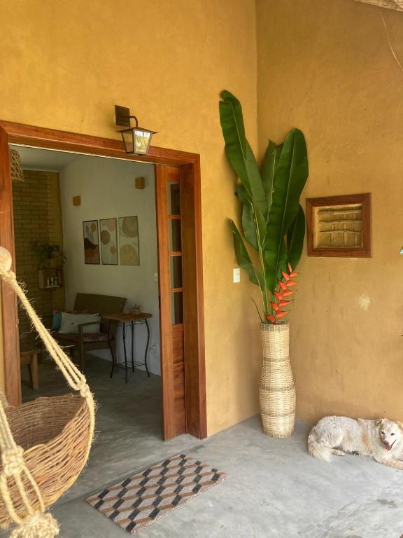a vase with a plant in the corner of a house at Casa Filtro Morere in Cairu