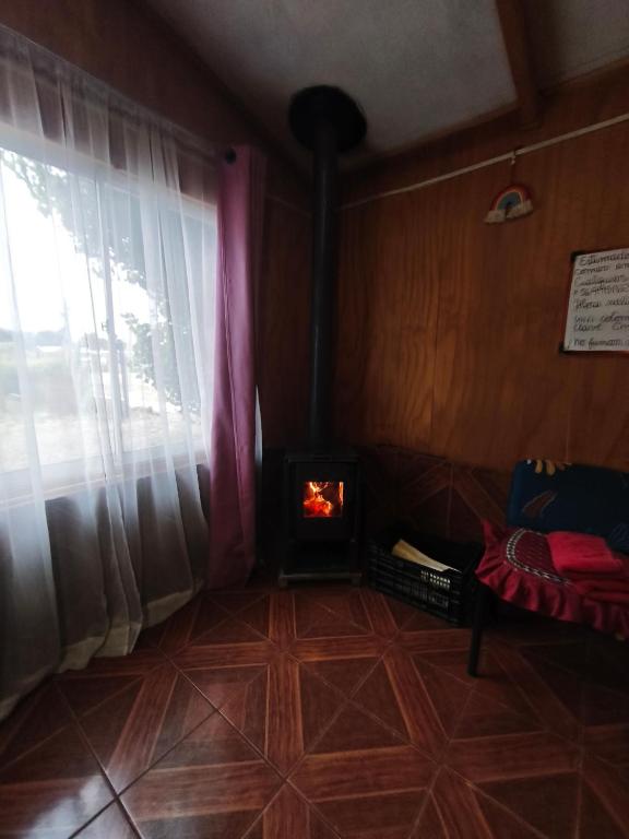 Flor Austral