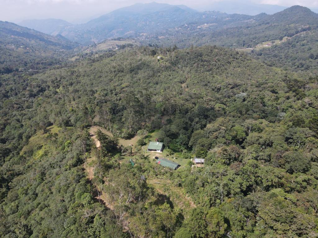 an aerial view of a forest with a house on a hill at La cabaña del Búho in Cali