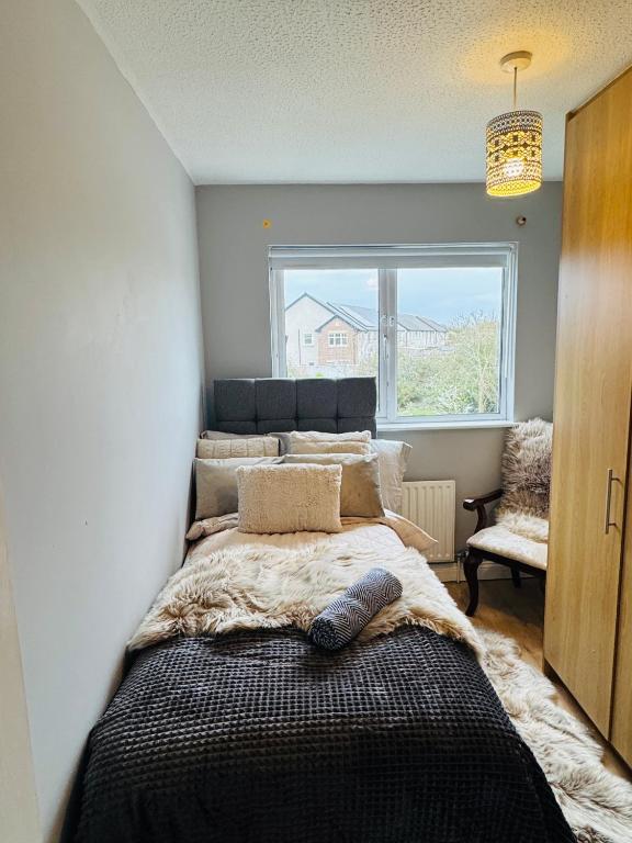 a bedroom with a large bed with a window at The Emerald Prince Alcove in Drogheda