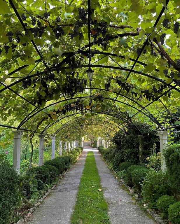 an archway in a garden with a pathway at Villa Paradiso in Donji Morinj