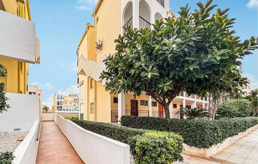 Pet Friendly Apartment In Torrevieja With Wifi