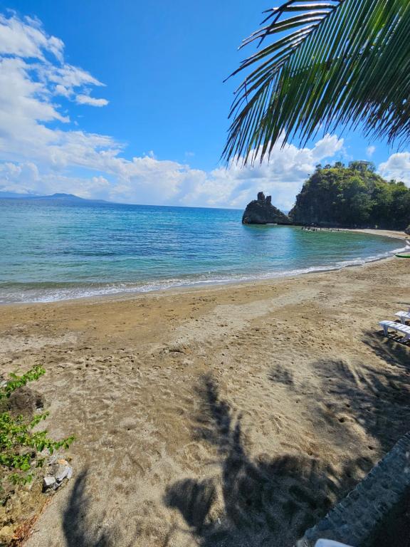 a beach with a palm tree and the ocean at Punta Private Beach Resort in San Teodoro
