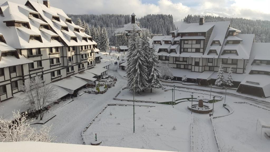 een met sneeuw bedekte straat in een stad met gebouwen bij Apartments Mozaik in Kopaonik