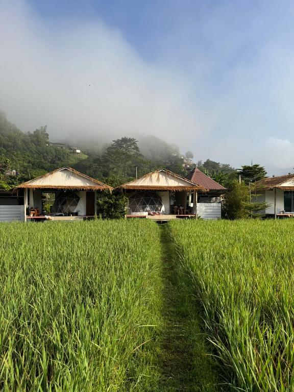 a field of green grass with houses in the background at สะปันดีวิว Sapan Dee View บ่อเกลือ น่าน in Ban Huai Ti