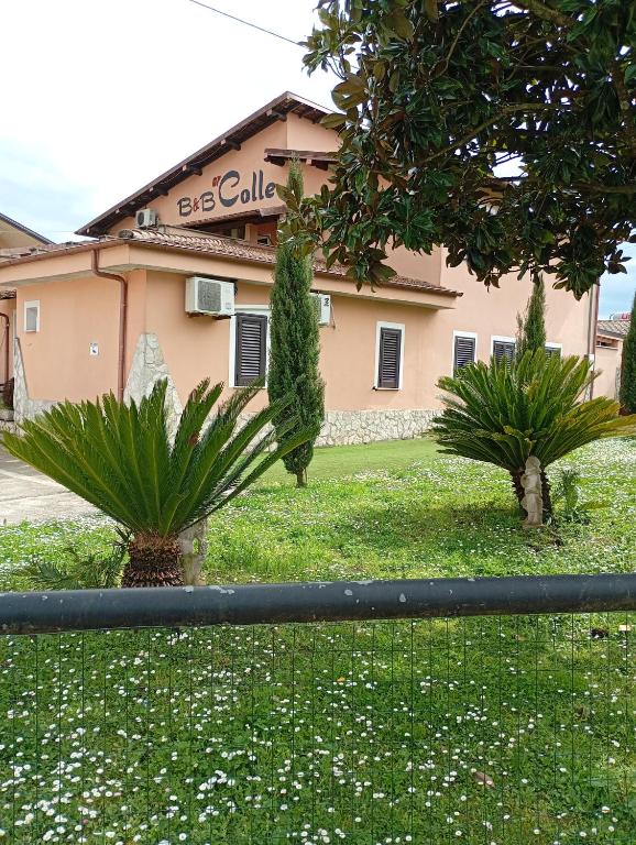 a building with two palm trees in a yard at beds ar colle 2 in Valmontone