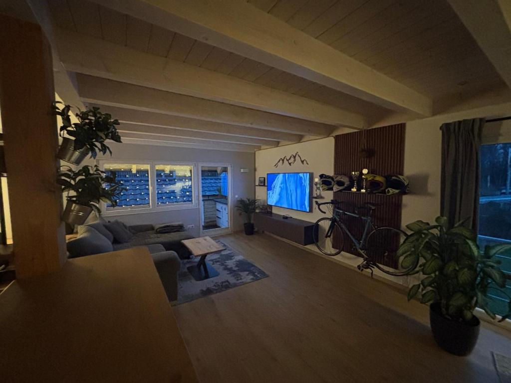 a living room with a couch and a tv at Black Forest Sports Loft in Achern