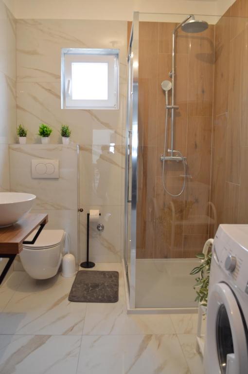 a bathroom with a shower and a toilet and a sink at Anka Cozy Apartment in Galovac