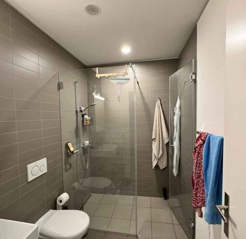 a bathroom with a shower and a toilet at Room with an amazing city view in Basel