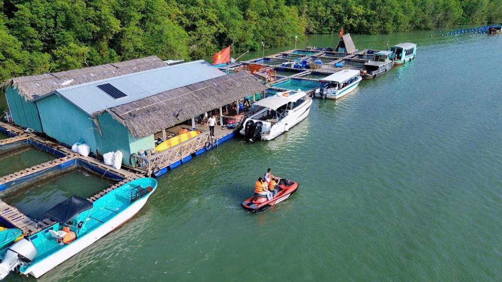 a group of boats are docked on a river at Cần Giờ Floating House in Ấp Phước Thới