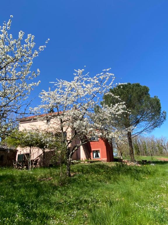 an old barn in a field with a tree at Les chambres de La Serre in Camarès