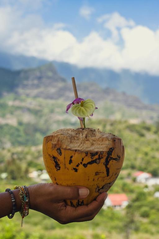 a person holding a piece of wood with a flower on it at Le Taïbit in Cilaos