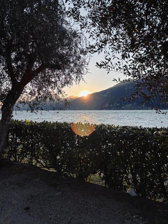 Camping Baldo, Brenzone sul Garda (aktualisierte Preise fr 2026)