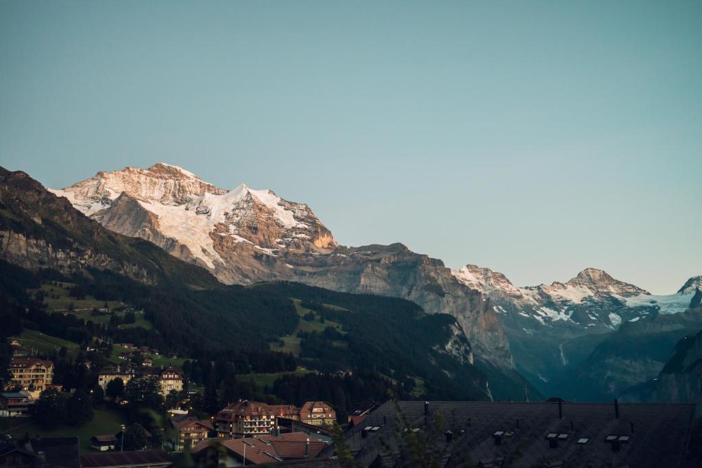 Hotel Jungfraublick photo