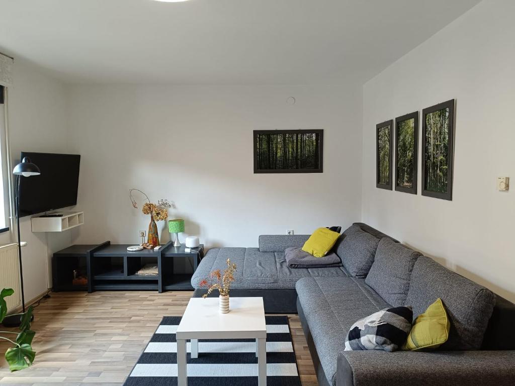 a living room with a couch and a tv at Apartman Novak in Samobor