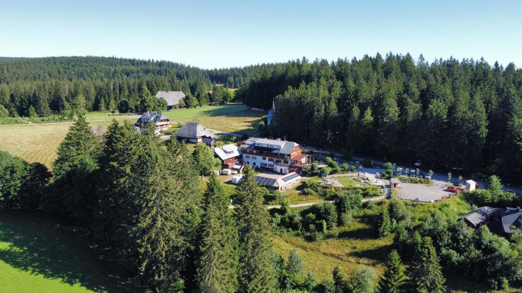 an aerial view of a house in a forest at Der Kolmenhof - Dein Ort an der Quelle in Furtwangen