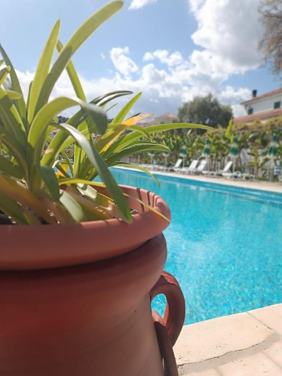 Residenza Al Borgo