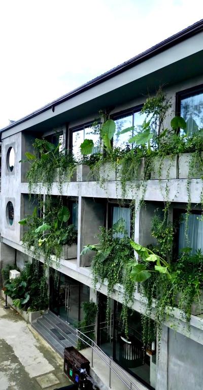 ein Wohnhaus mit Pflanzen an der Seite in der Unterkunft Z Garden Hotel Managed by H Hospitality in El Nido