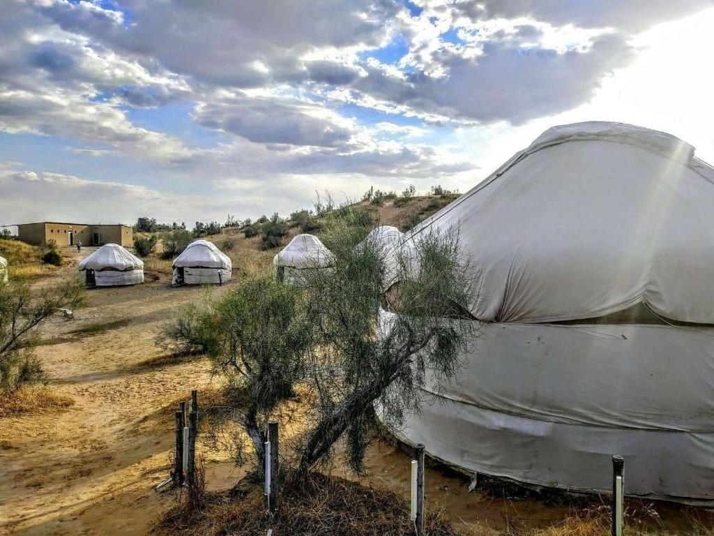 a group of tents in the middle of the desert at Aydar Eco Yurt Camp in Ingichka